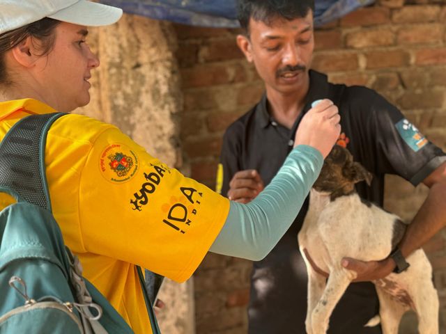 Clinician's Brief Joins Mission Rabies in Mumbai